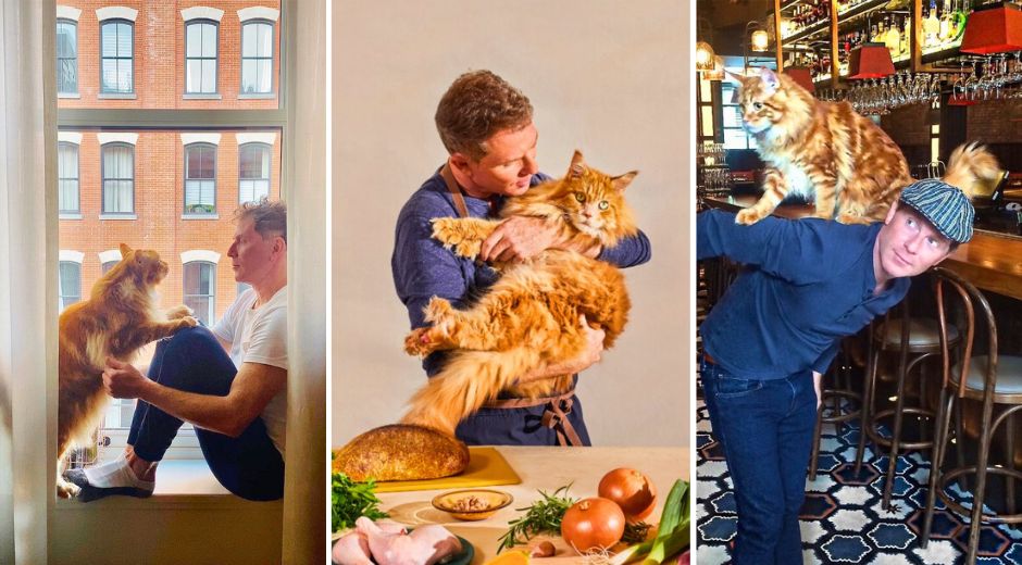 Chef Bobby Flay’s Cat Nacho Has Passed Away