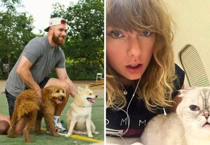 Does Travis Kelce Like Cats? Taylor Swift Fans Are Googling To Find Out