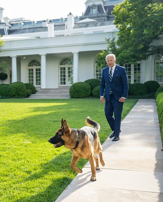Joe Biden and his dog Commander walking