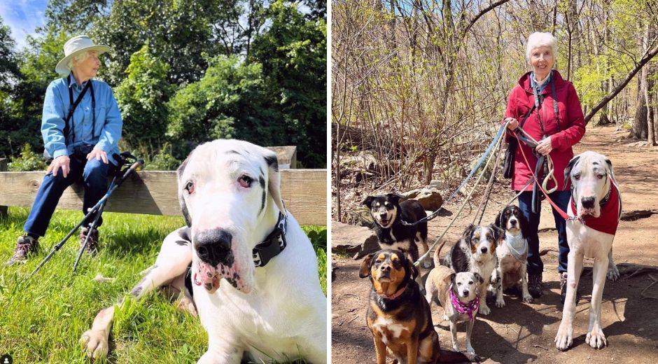 Kernel the Great Dane Therapy Dog Went Viral for Adopting a Grandma