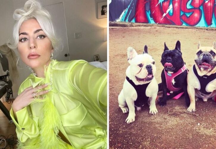 Lady Gaga Wins Lawsuit From One of Her Dog Kidnappers