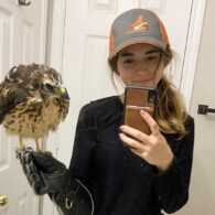 Maya Higa's pet Falcons