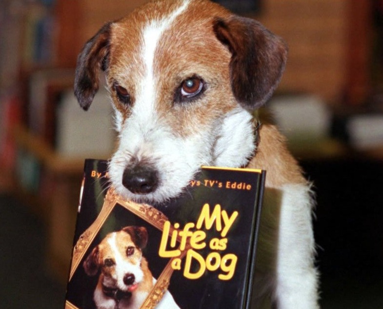 Moose, known as Eddie the dog on Frasier, holding his autobiography My Life as a dog