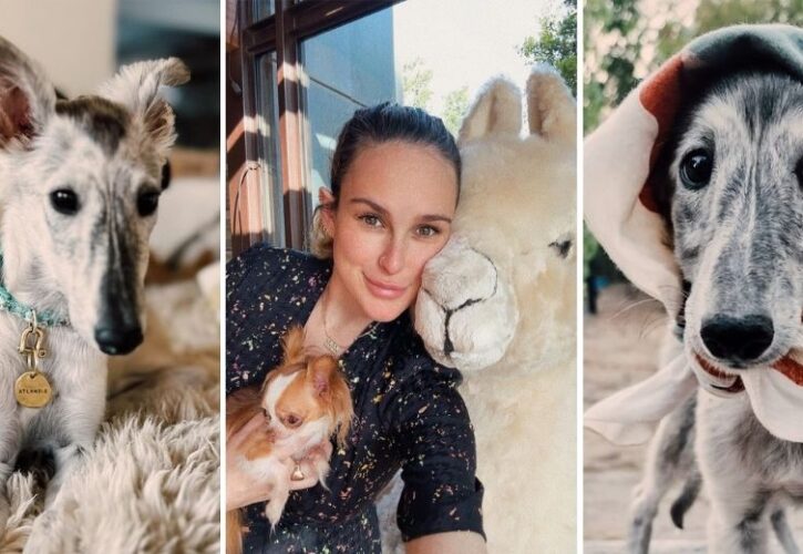 Rumer Willis Introduces Her New Dog Atlantis, a Silken Windhound To Match Her Sister Tallulah