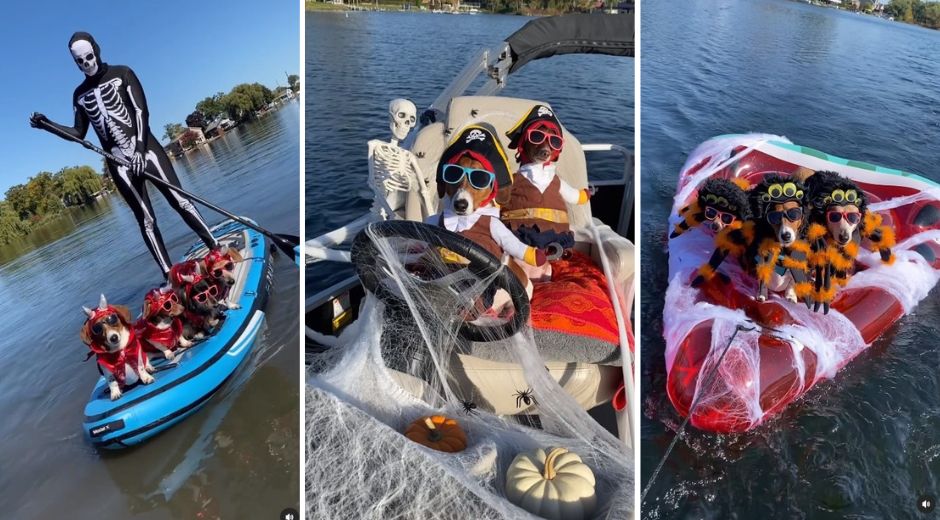 Sailing the Spooky Seas With Myles and Willow Dachshunds
