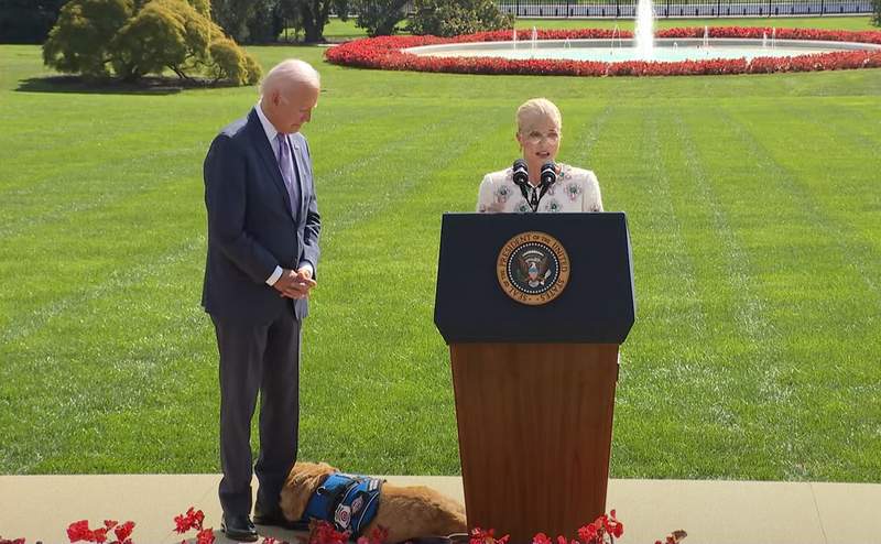 Selma Blair's service dog Scout napping on Joe Biden's foot