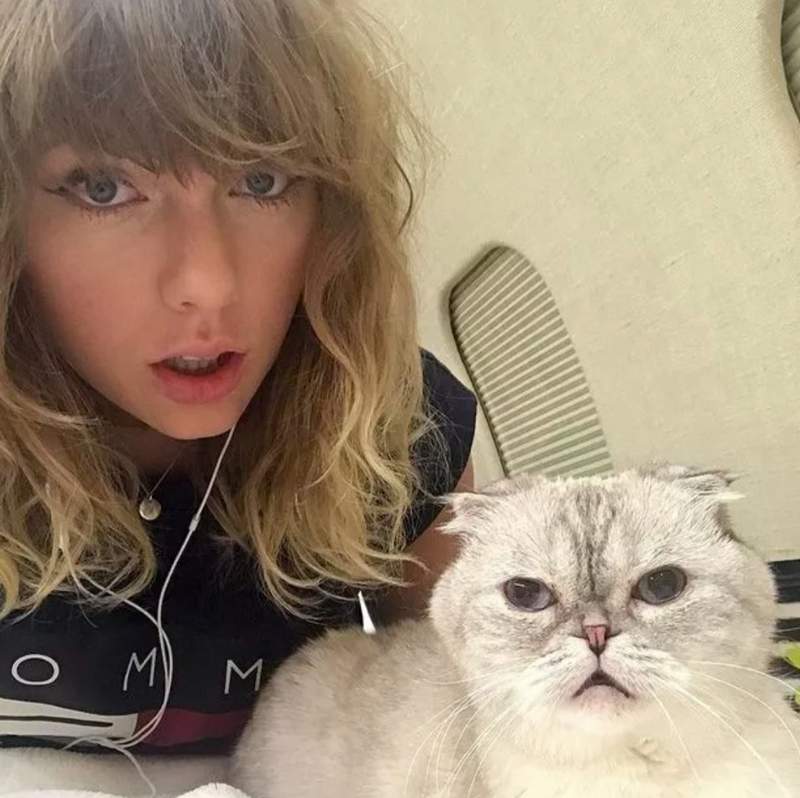 Taylor Swift with her cats