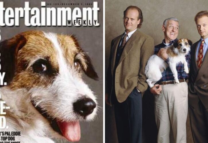 The Story of Moose, the Rescue Dog Who Played Eddie on “Frasier” - From Abandoned to Millionaire and Fan Favorite