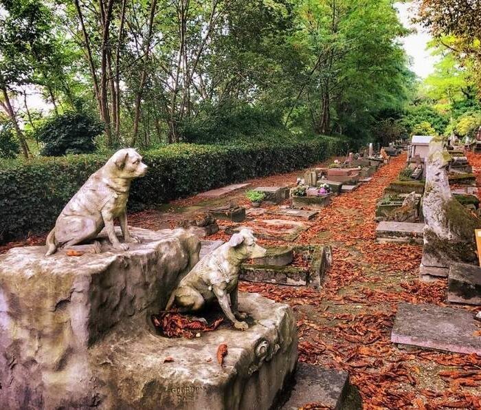 World's Oldest Pet Cemetery in Paris France