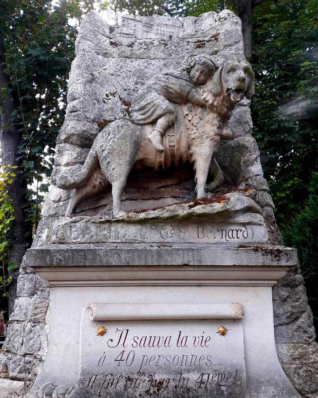 World's Oldest Pet Cemetery in France - Barry Saint Bernard mountain rescue dog