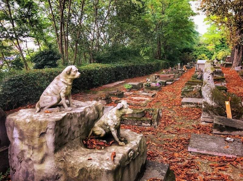 World's Oldest Pet Cemetery in Paris France