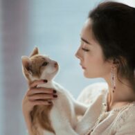 Yang Mi's pet Cat