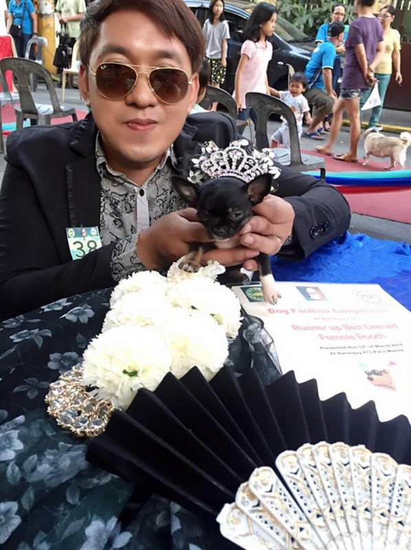 Adrian Stephen Cabuhat with Coco Chanel chihuahua competing as a puppy