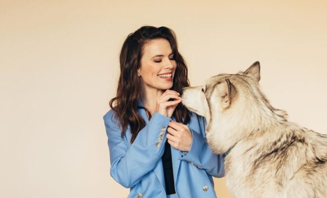 Hayley Atwell Pets