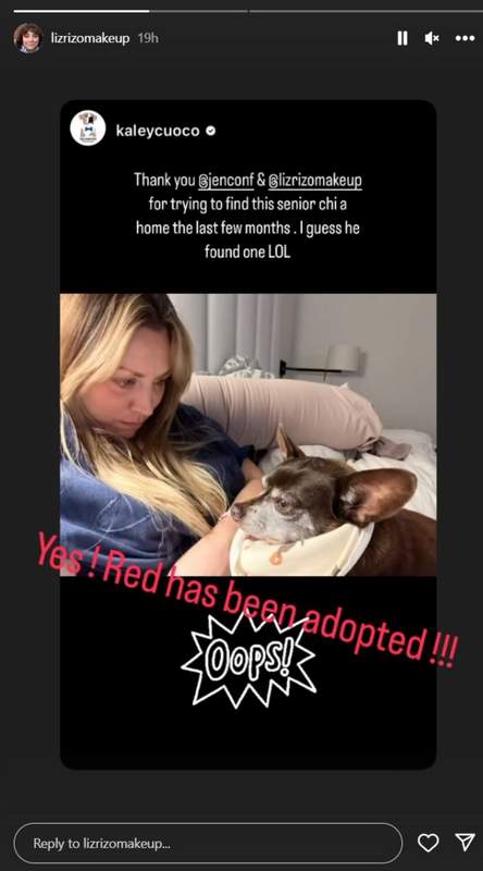 Instagram story of Kaley Cuoco adopting dog named Red