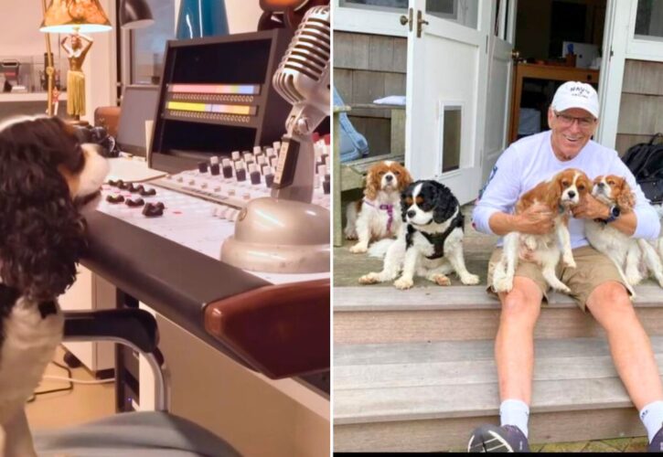 After Passing Away, Jimmy Buffet’s Final Music Video, ‘Like My Dog,’ Is Released To Support Pet Adoption