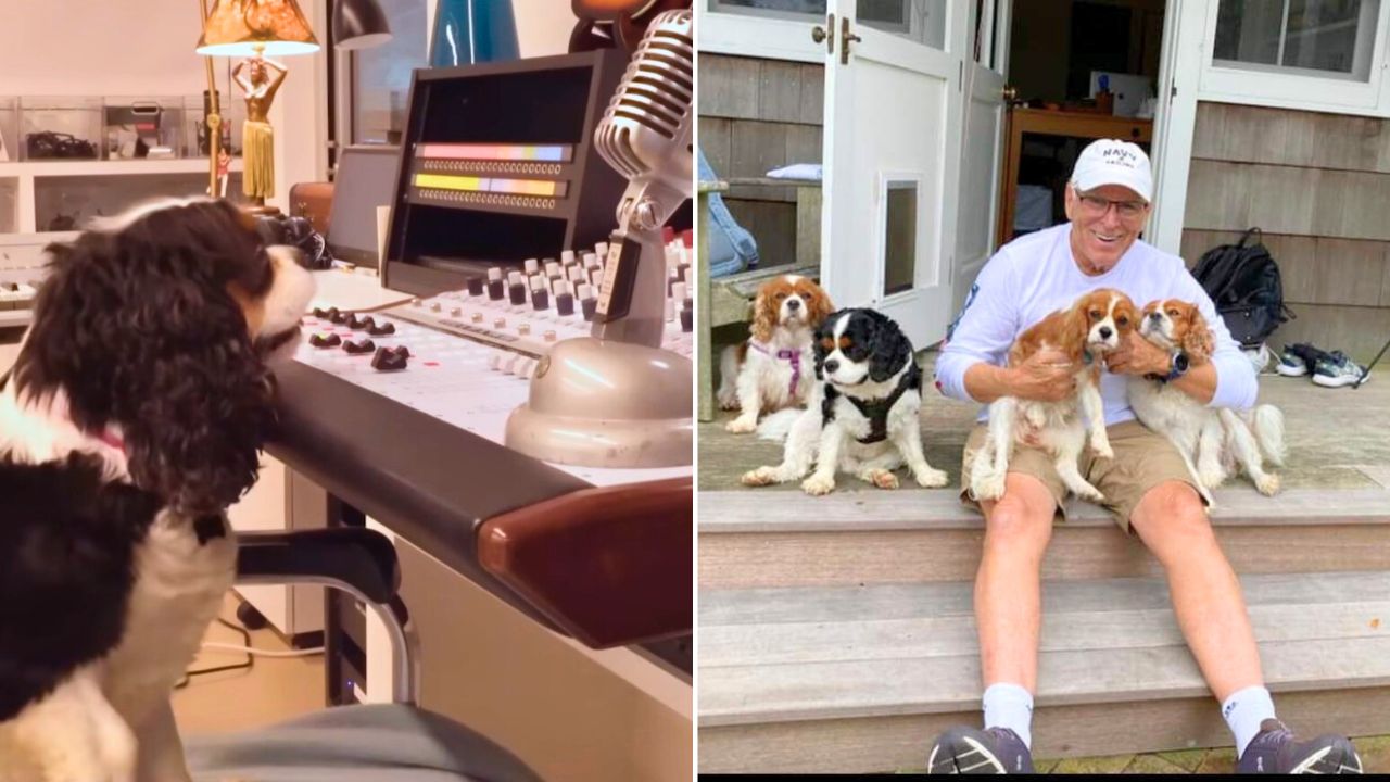 Jimmy Buffett final music video called Like My Dog benefits pet adoption