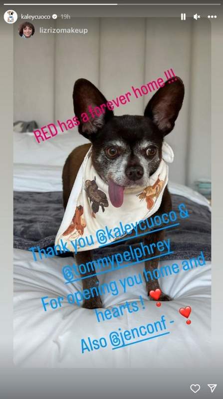 Kaley Cuoco rescue Chihuahua dog named Red