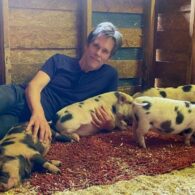 Kyra Sedgwick's pet Pigs