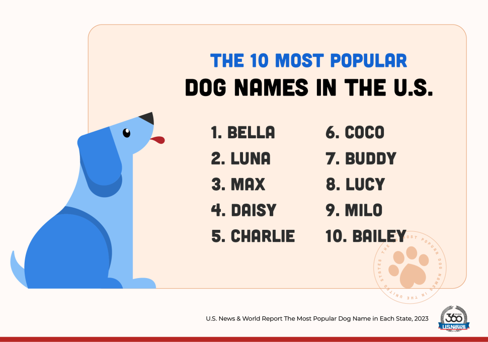 The Most Popular Dog Names of 2023