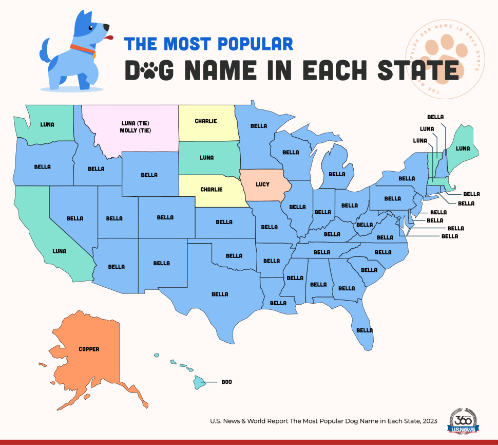 The Most Popular Dog Names of 2023 map of the USA