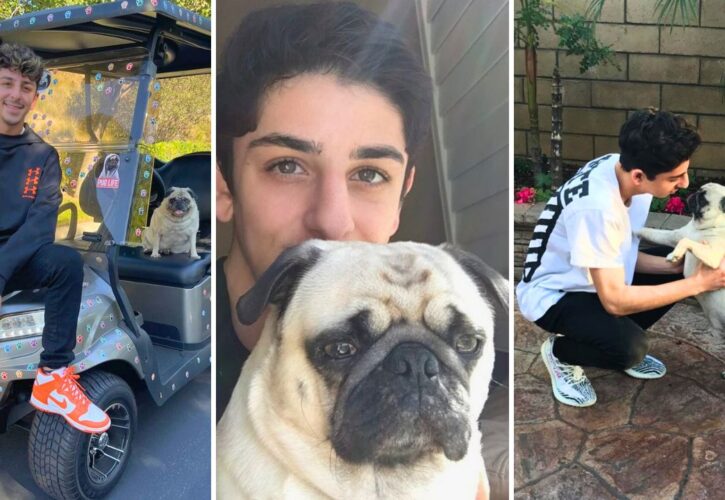 YouTube Star Faze Rug Pays Tribute to Bosley, His Beloved Pug Who Passed Away