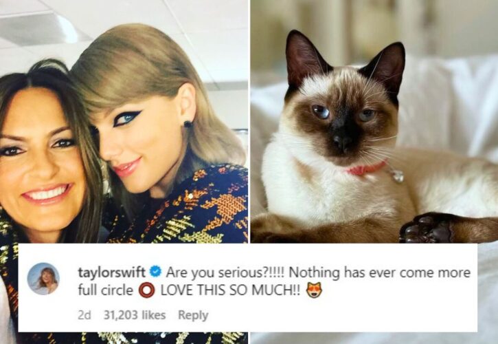 Actress Mariska Hargitay Names Her Cat After a Taylor Swift Song - And Taylor Responds!