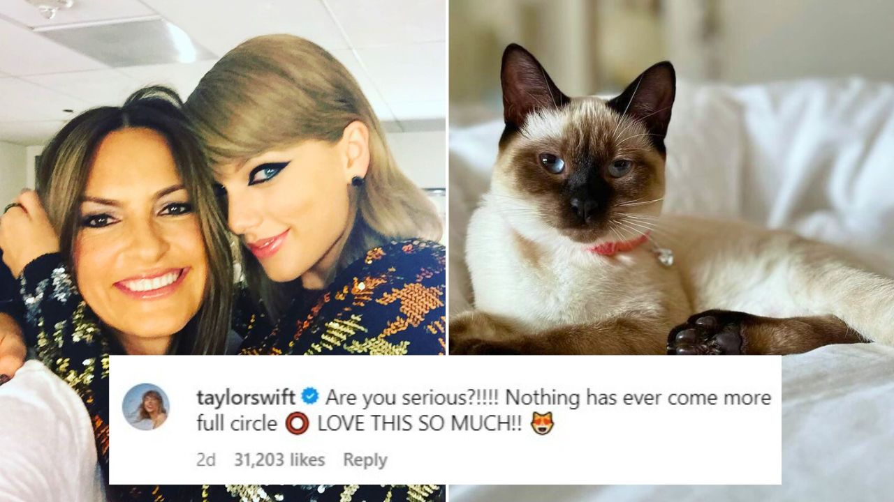 Actress Mariska Hargitay Names Her Cat Karma After a Taylor Swift Song and Taylor Responds