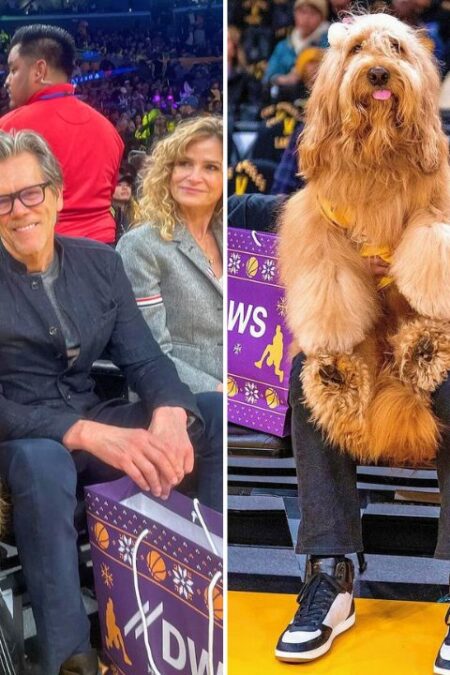 Brodie the Goldendoodle Stole the Show While Sitting Courtside at