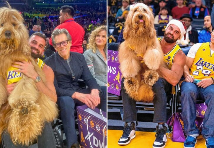 Brodie the Goldendoodle Stole the Show While Sitting Courtside at a L.A. Lakers Game