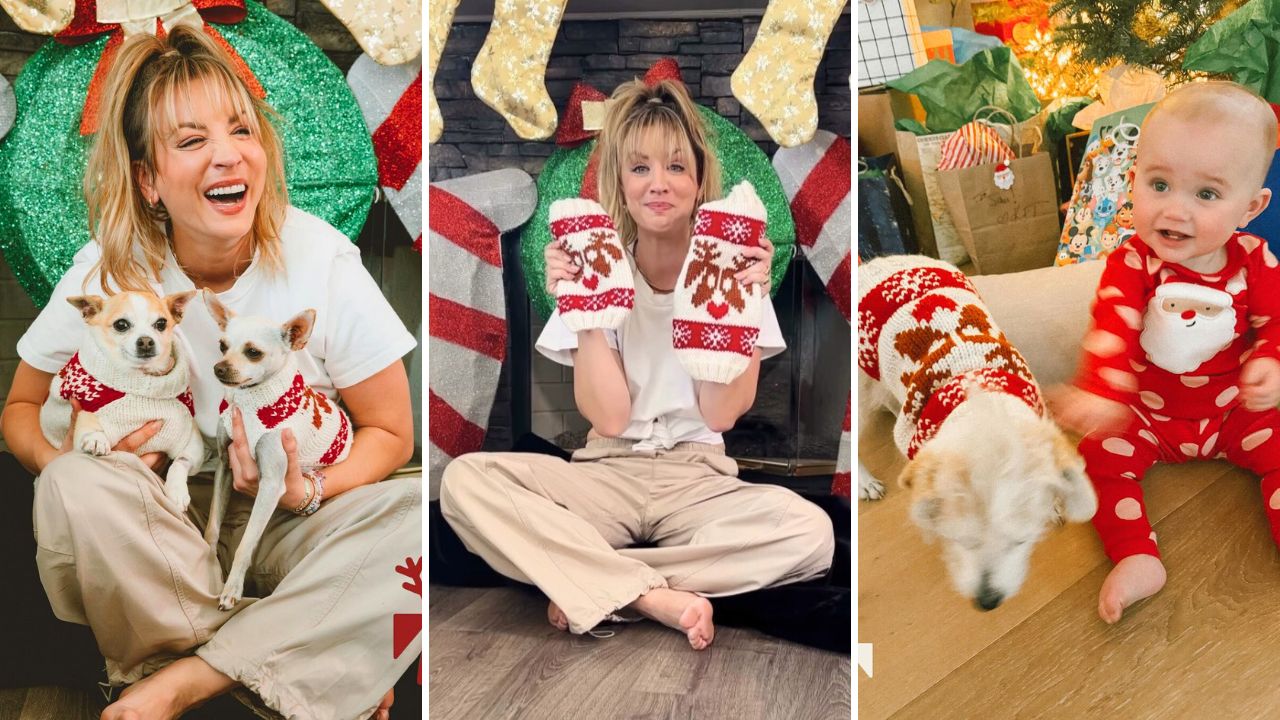 Caley Cuoco Donates 500 Holiday Sweaters From Her ‘Oh Norman!’ Brand to Shelter Dogs