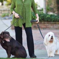 Carol Burnett's pet Dogs and Cats