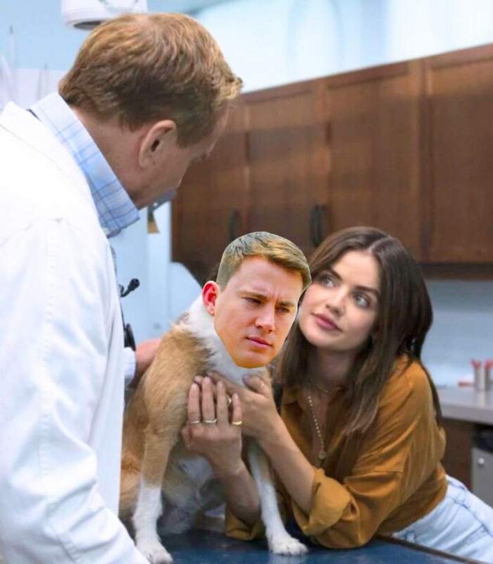 Channing Tatum as a dog with Lucy Hale at the vet