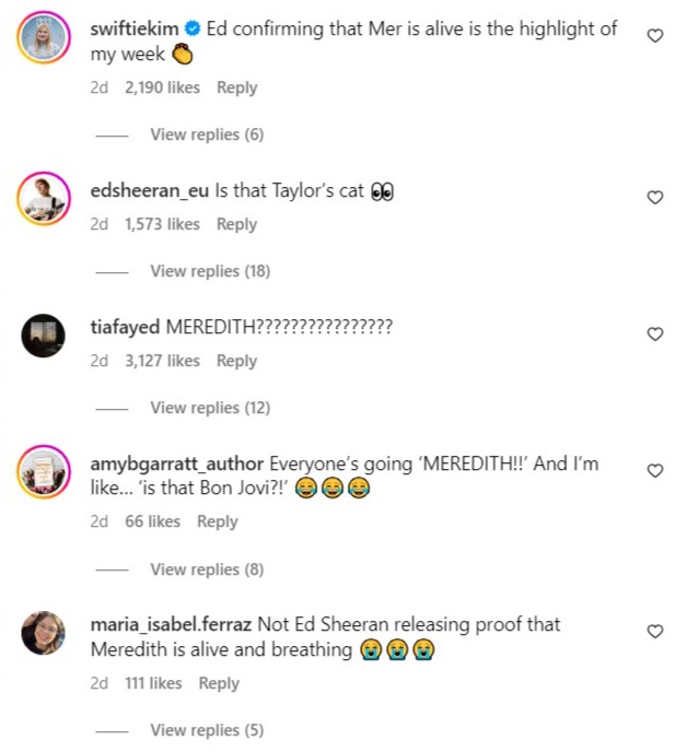 Comments on Ed Sheeran's Instagram about Taylor Swift's cat Meredith Grey