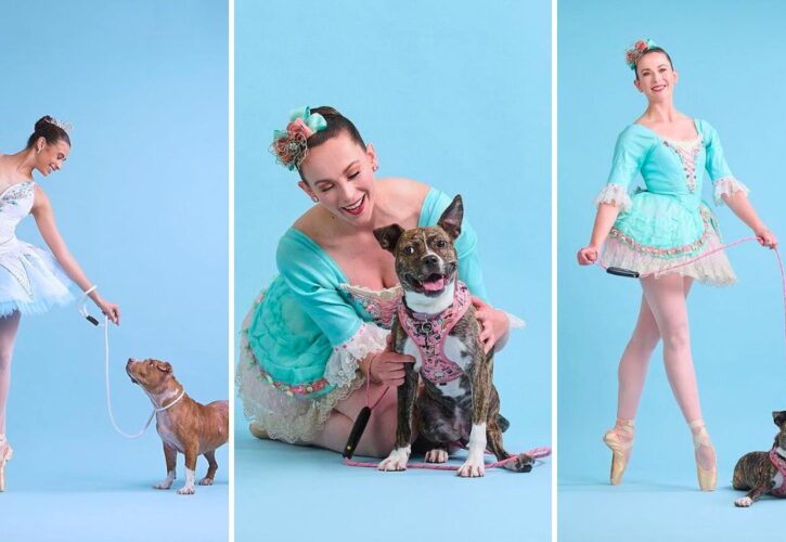 The ‘Muttcracker’ by Dancers & Dogs and the St. Louis Ballet Has Found Over 100 Dogs Their Forever Homes