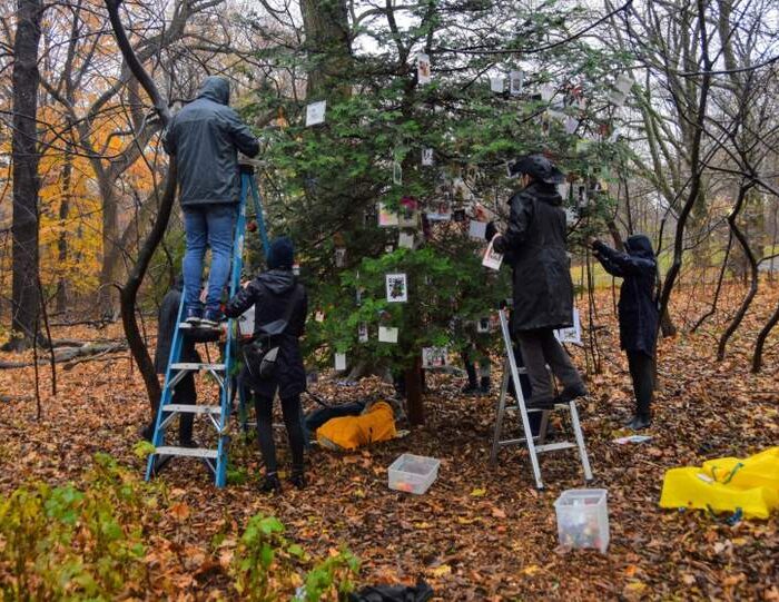 Decorating the Furever Tree in Central Park