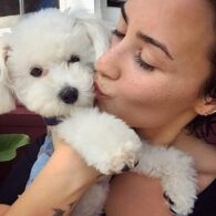 Demi Lovato's pet Buddy