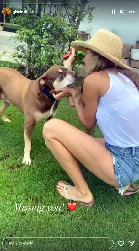 Gisele Bundchen Instagram story deceased dog Lulu