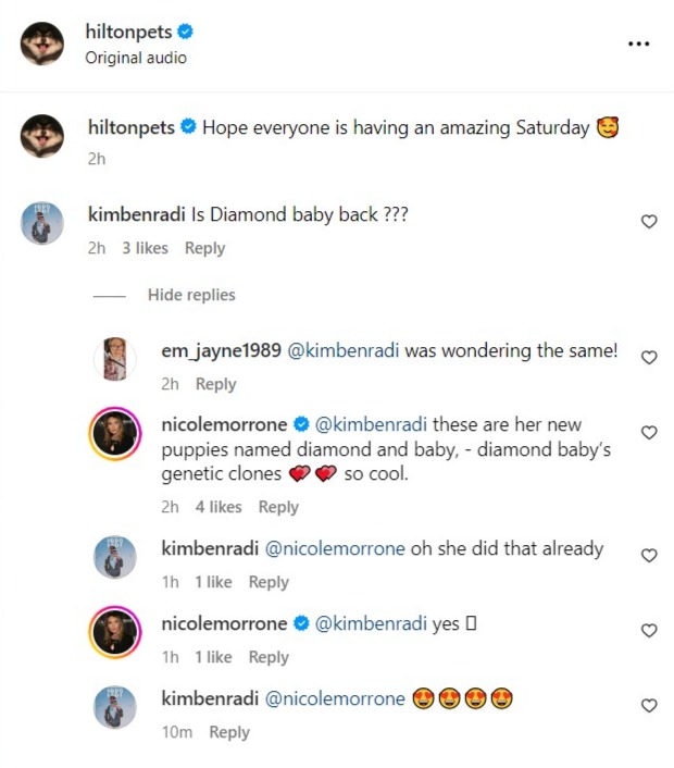 Instagram comments on Paris Hilton Taco Bell commercial about cloned dogs