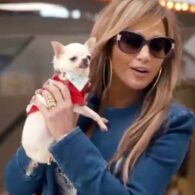 Jennifer Lopez's pet Manhattan (Mr. Bruce the Chihuahua from 'Hustlers')