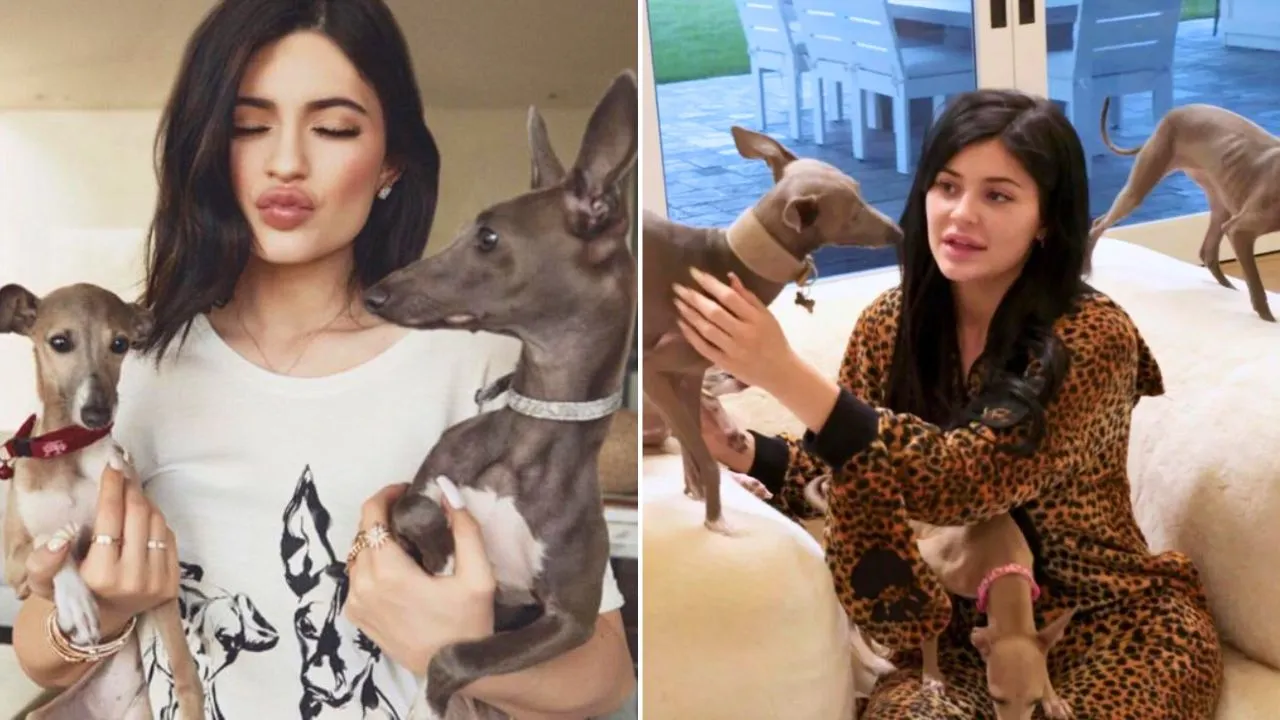 Kylie Jenner Admits Her “Best Hire” Was a Dog Nanny for Her 7 Italian