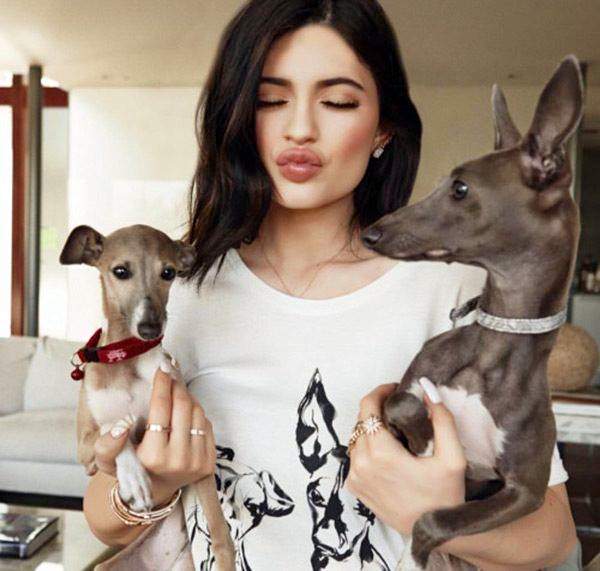 Kylie Jenner with dogs Bambi and Norman