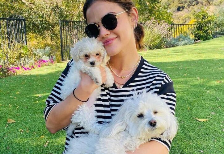 Lucy Hale Pets