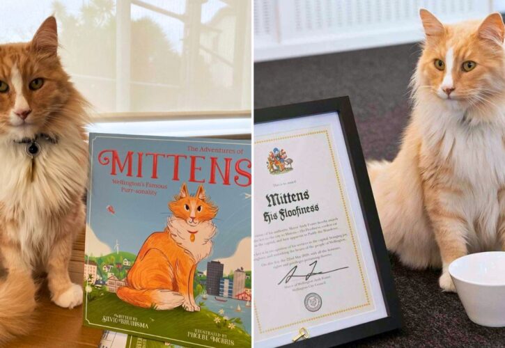 Mittens the Cat Is So Popular He Was Awarded the Keys to His City