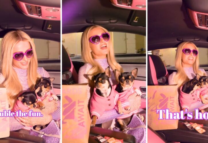 Paris Hilton Debuts Her Cloned Chihuahuas, Diamond and Baby, in New Taco Bell Commercial