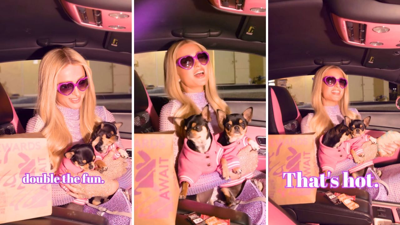Paris Hilton Reveals Her Cloned Chihuahuas, Diamond and Baby, in New Taco Bell Commercial