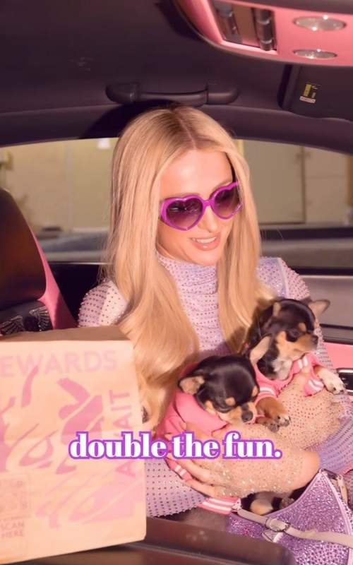 Paris Hilton's cloned Chihuahuas in Taco Bell Commercial
