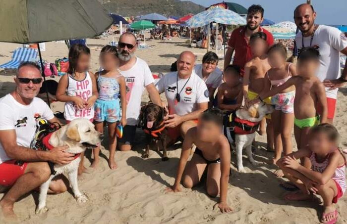 SICS dog lifeguards save 24 people