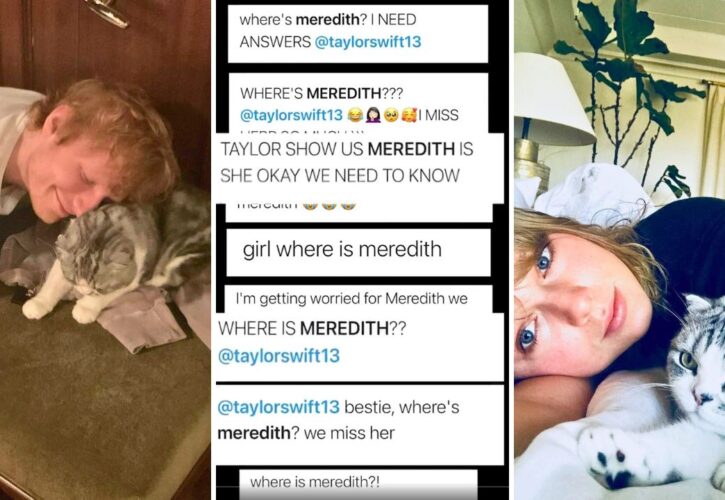 Taylor Swift’s Elusive Cat, Meredith Grey, Makes Rare Appearance With Ed Sheeran