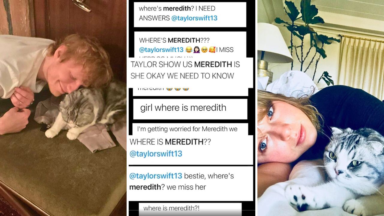 Taylor Swift’s Elusive Cat Meredith Grey Makes Rare Appearance With Ed Sheeran